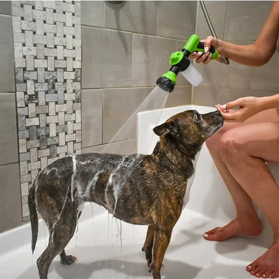 High-pressure Hose dog shower Gun Onces you have added the prostarpet!