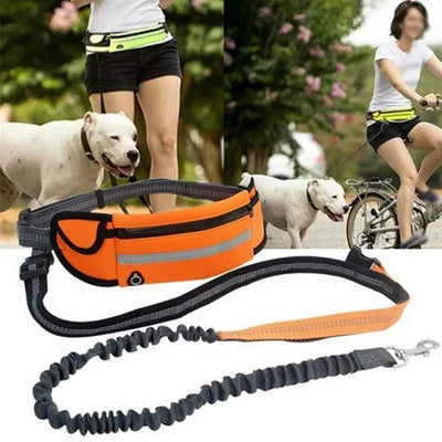 retractable pet leash  retractable pet lead  retractable leash for pets  retractable leash for large dogs  retractable dog leash with handle  retractable dog leash for small dogs  retractable dog leash for medium dogs  retractable dog leash for large dogs